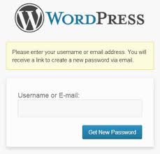 WordPress Password reset screen