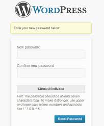 wordpress-lost-password-screen-set-new-password