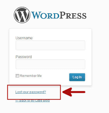 WordPress Password reset screen